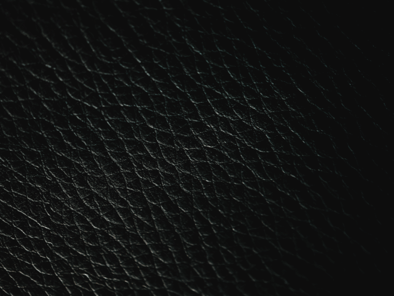 pexels-eva-bronzini-7598668