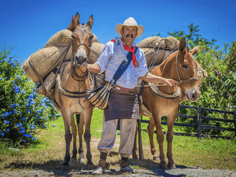 Screenshot 2023-04-10 at 3.13.40 PM